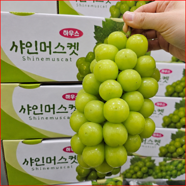 샤인머스켓 선물세트 추천, 당도·알 크기·포장까지 실패 줄이는 5가지 기준 6 image 23